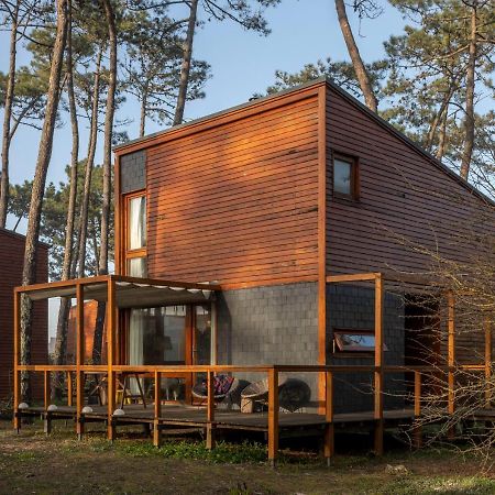 Bungalow B2 - Nature, Beach & River Офир Экстерьер фото