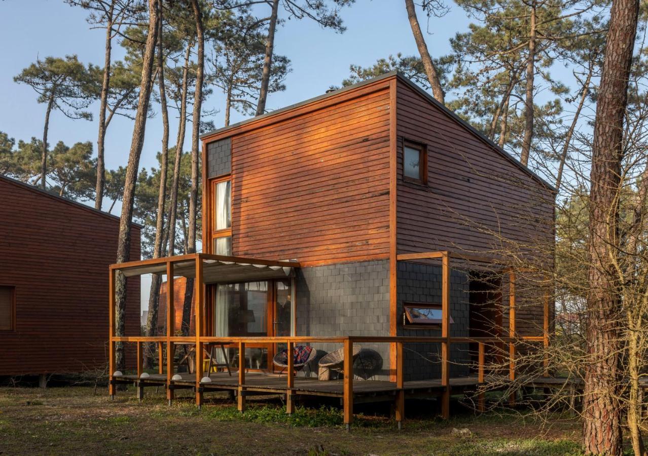 Bungalow B2 - Nature, Beach & River Офир Экстерьер фото